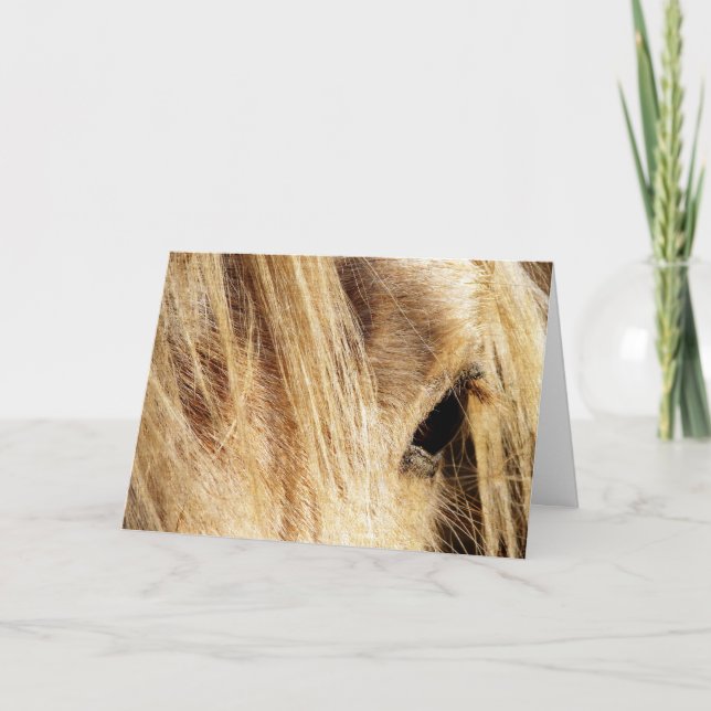 Messy Mane Birthday Card (Front)