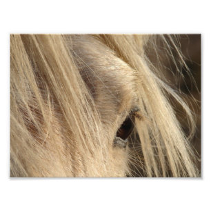 Messy Mane Day Photo Print