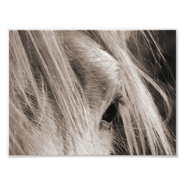 Messy Mane Day Photo Print (Front)