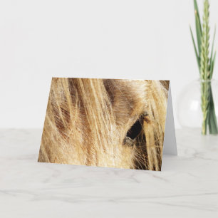 Messy Mane, Father's DAy Card