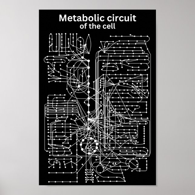 Metabolic circuit of the cell poster (Front)