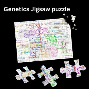 Metabolic pathway metro map jigsaw puzzle