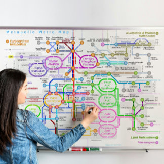 Metabolic pathway subway map poster