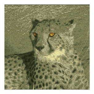 metal cheetah poster