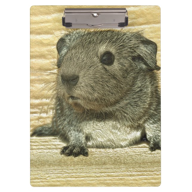 metal guinea pig clipboard (Front)