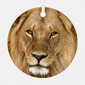 Métal Lion Avec Grand Mane Ornement En Céramique