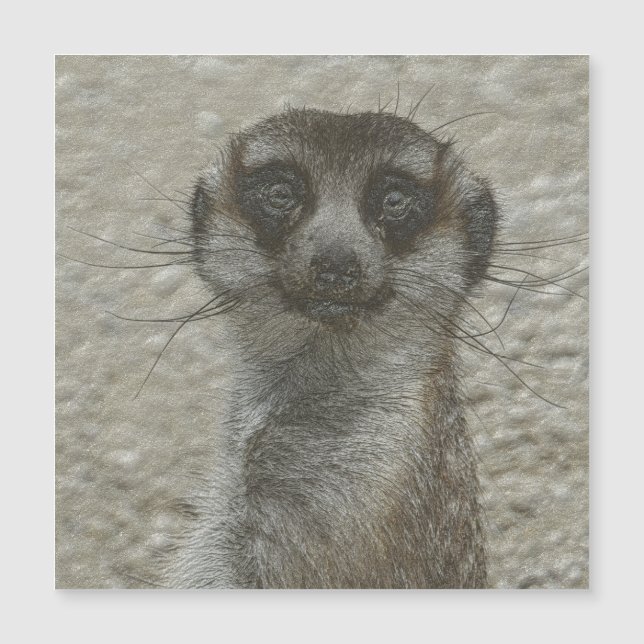 metal meerkat (Front)