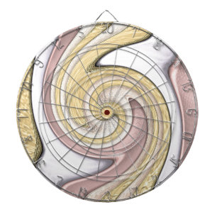 Metal pattern with shine dartboard