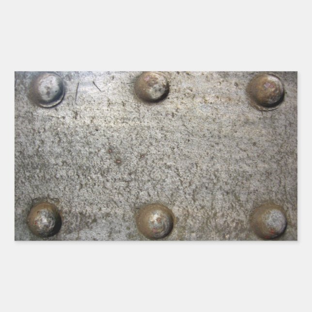 Metal Plate With Screws Sticker (Front)