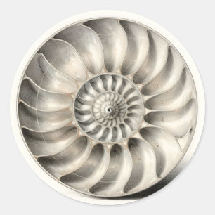 Metallic Nautilus Shell Spiral Geometric Classic Round Sticker