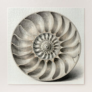 Metallic Nautilus Shell Spiral Geometric Jigsaw Puzzle