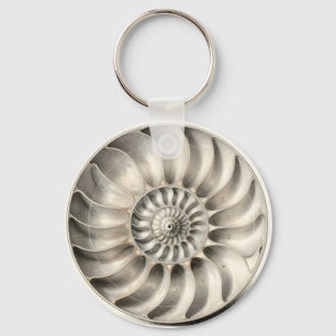 Metallic Nautilus Shell Spiral Geometric Keychain