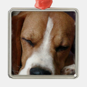 Métallique Ornement de beagle de sommeil