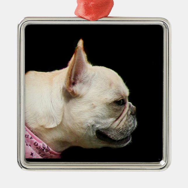 Métallique Ornement de bouledogue français (Devant)