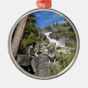 Métallique Ornement de cascade de Keeshond