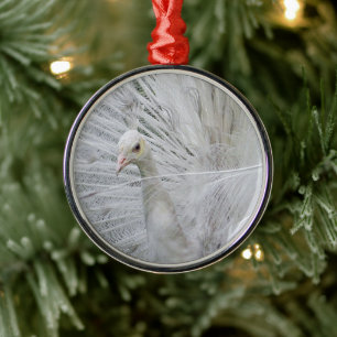 Métallique Ornement Peacock Blanc