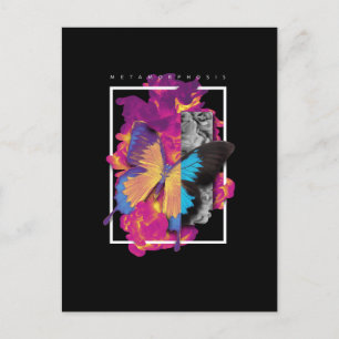 Metamorphosis  Butterfly Postcard