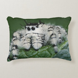 Metaphid Jumping Spider Decorative Pillow