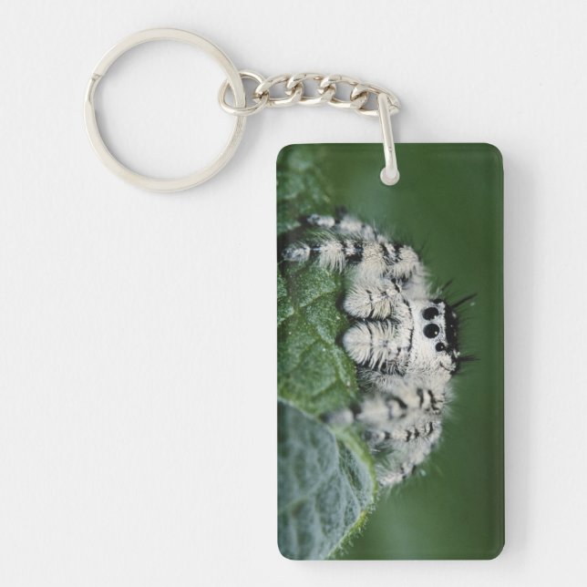 Metaphid Jumping Spider Keychain (Front)
