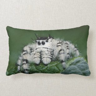 Metaphid Jumping Spider Lumbar Pillow