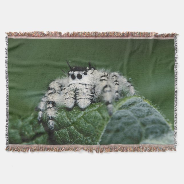 Metaphid Jumping Spider Throw Blanket (Front)