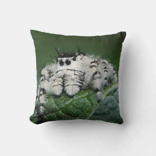 Metaphid Jumping Spider Throw Pillow
