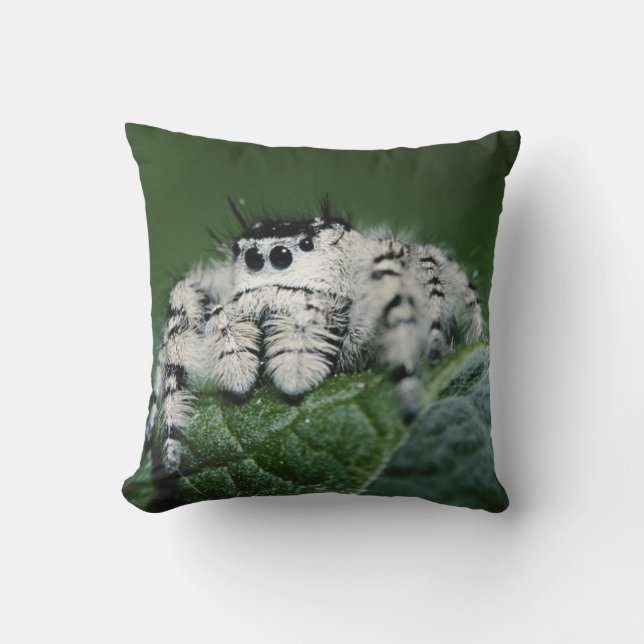 Metaphid Jumping Spider Throw Pillow (Front)