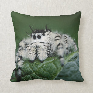 Metaphid Jumping Spider Throw Pillow