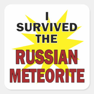 Meteor Survivor Square Sticker