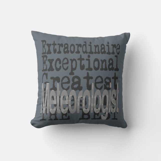 Meteorologist Extraordinaire Throw Pillow (Front)