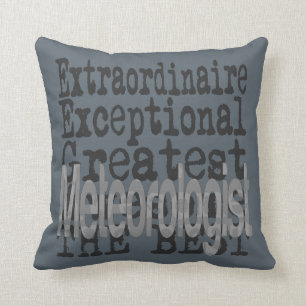 Meteorologist Extraordinaire Throw Pillow