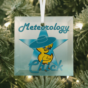 Meteorology Chick #7 Glass Ornament