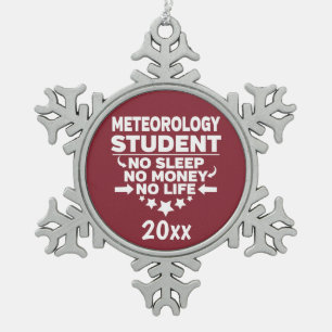 Meteorology Student No Sleep Money Cardinal Red Snowflake Pewter Christmas Ornament