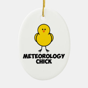 Meterology CHick Ceramic Ornament