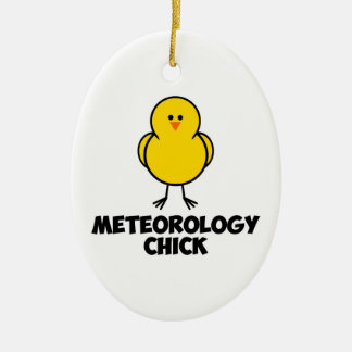 Meterology CHick Ceramic Ornament