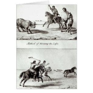 Methods of Throwing the Lasso and the Bolas
