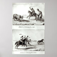 Methods of Throwing the Lasso and the Bolas