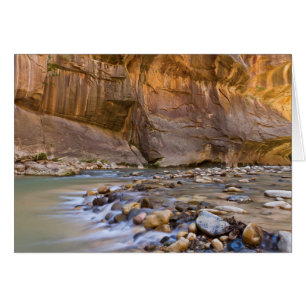 Métro à Zion Utah
