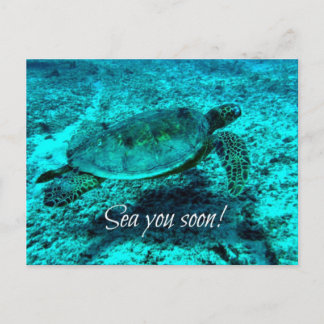 Mets-toi bientôt ! Carte postale Turtle