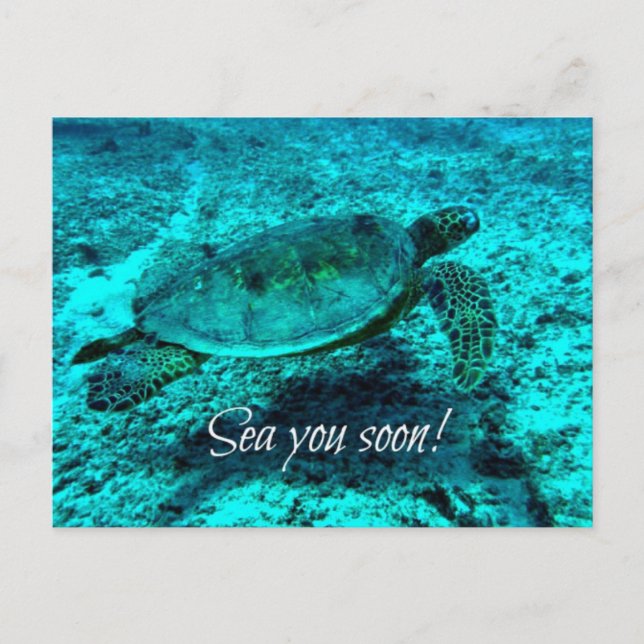 Mets-toi bientôt ! Carte postale Turtle (Devant)