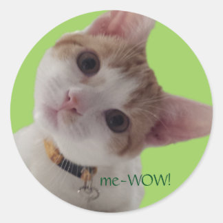 meWOW Curious Cat Good Job Customizable Sticker