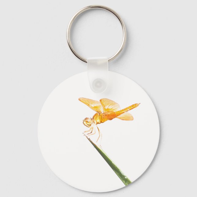 Mexican amber-wing dragonfly keychain (Front)