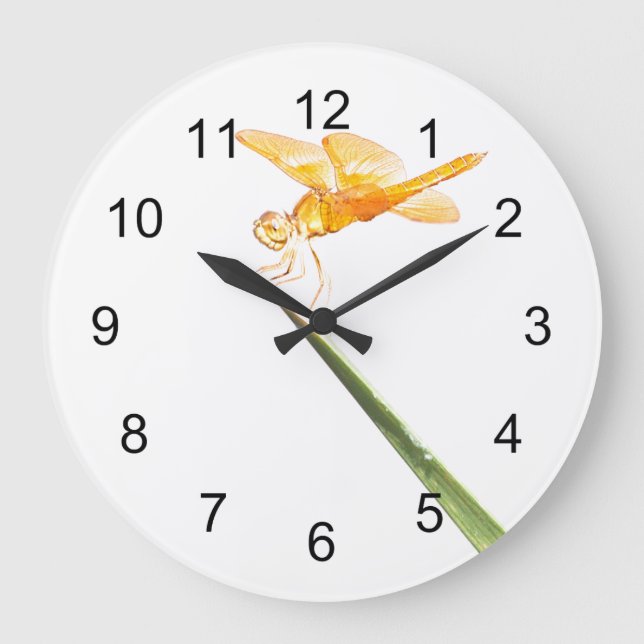 Mexican Amberwing Dragonfly Large Clock (Front)