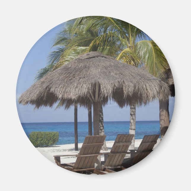 Mexican Beach Paradise Magnet (Front)