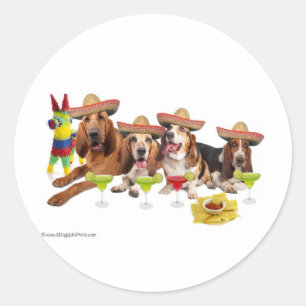 Mexican Fiest Classic Round Sticker