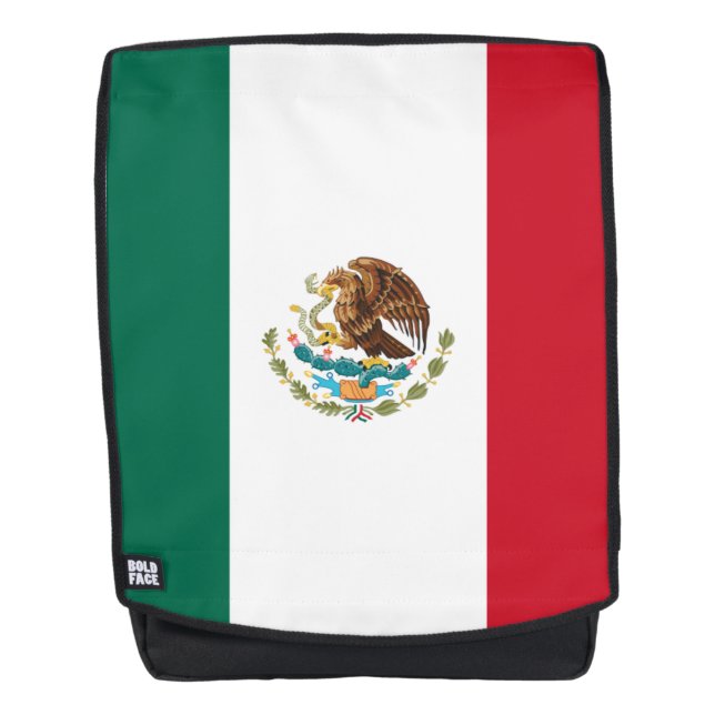 Mexican flag backpack (Front)