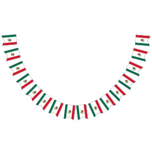 Mexican flag banner