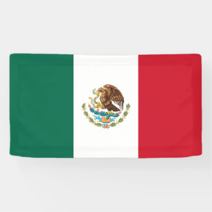 Mexican Flag Banner