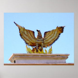 Mexican golden eagle poster