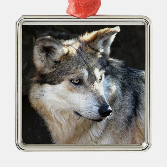 Mexican Grey Wolf Metal Ornament (Front)